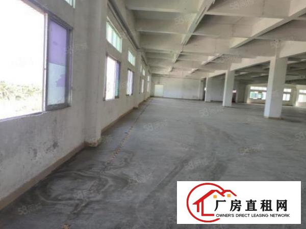  长安厂房出租上沙新出独院13500平米，水电齐全精装修