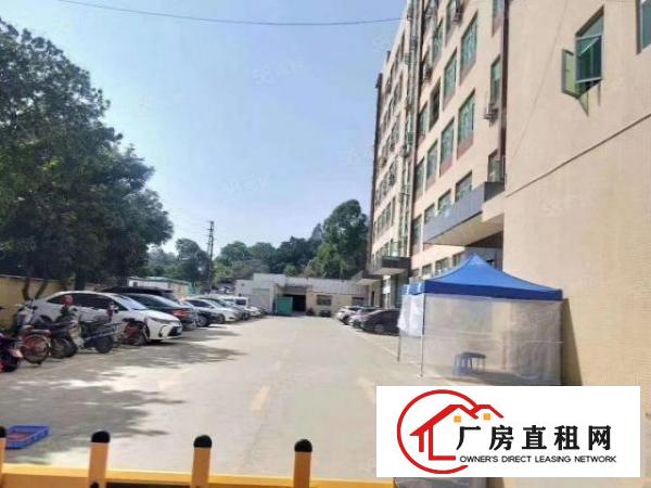  长安厦边新出楼上1150平带现成办公室精装修厂
