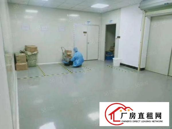  长安厦边新出楼上1150平带现成办公室精装修厂