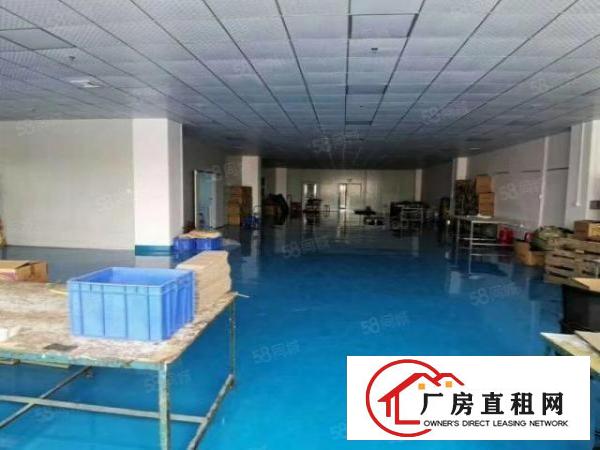  厦岗沿江高速路口新出楼上豪华装修厂房招租