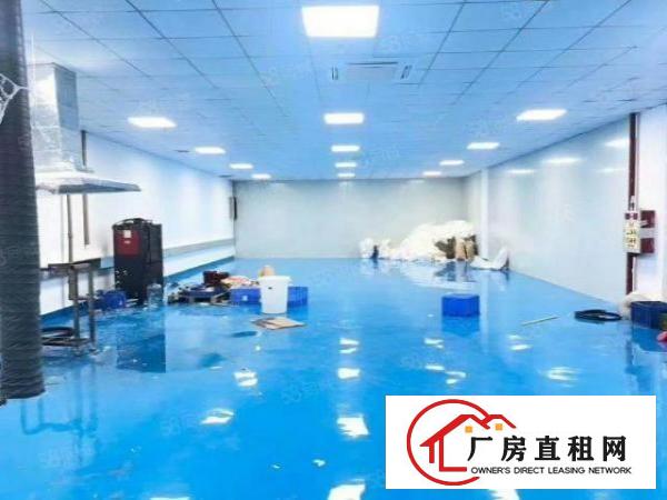  厦岗沿江高速路口新出楼上豪华装修厂房招租