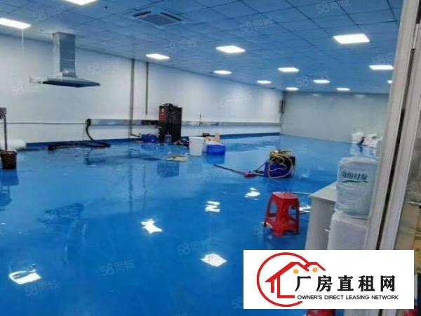  厦岗沿江高速路口新出楼上豪华装修厂房招租