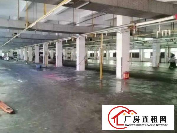  上角新出一楼4380平，二楼4380平，带装修