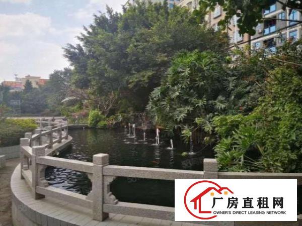  长安镇厦岗原房东独院25000平，带注塑喷油环评