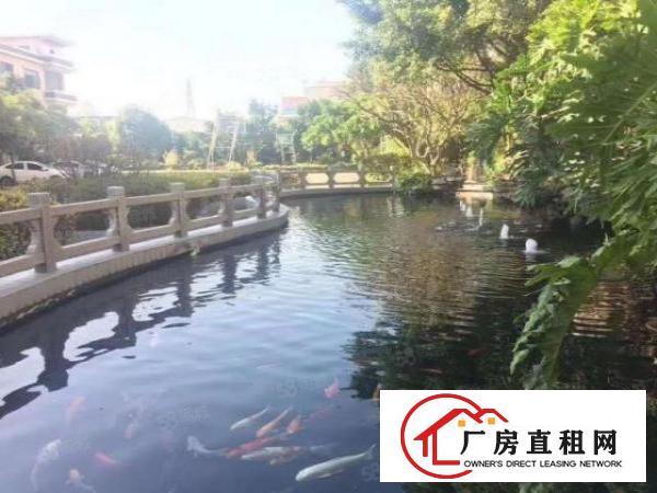  长安镇厦岗原房东独院25000平，带注塑喷油环评