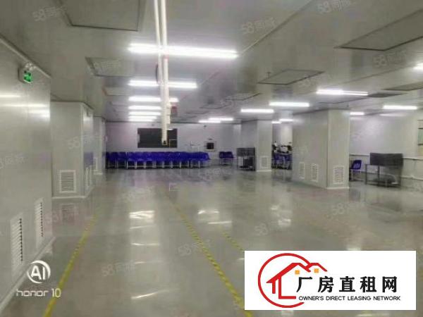  长安镇厦岗原房东独院25000平，带注塑喷油环评