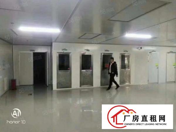  长安镇厦岗原房东独院25000平，带注塑喷油环评