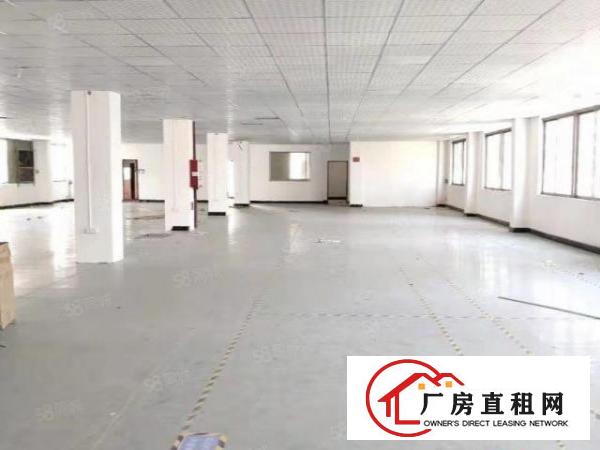  长安乌沙新出楼上洁净车间长厂房1580平