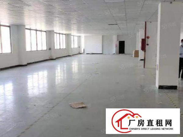  长安乌沙新出楼上洁净车间长厂房1580平