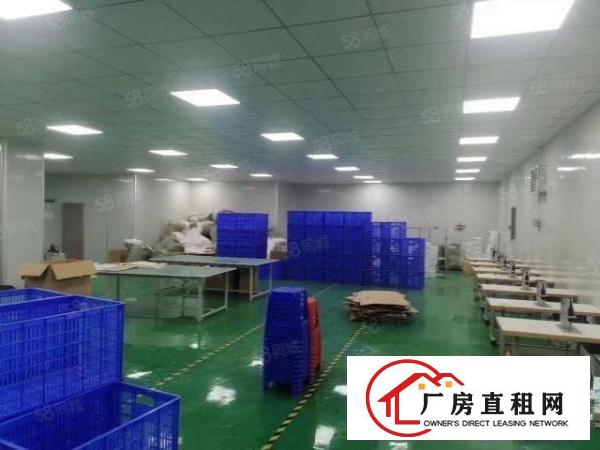  新民400平豪华装修厂房出租