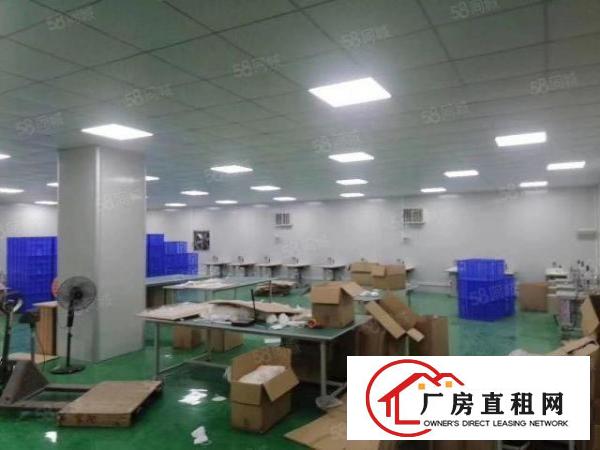  新民400平豪华装修厂房出租