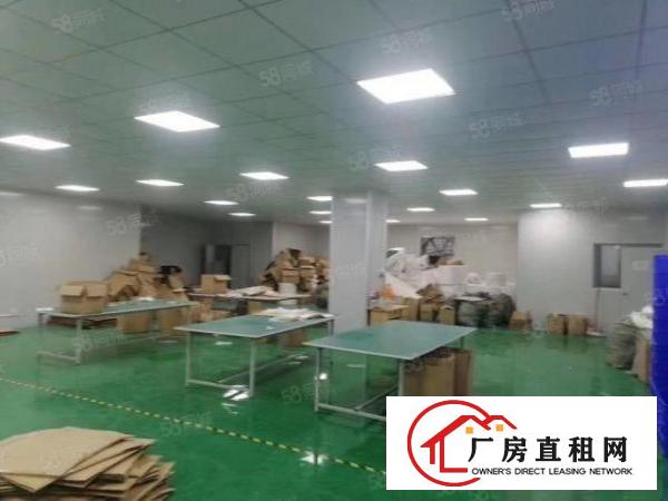  新民400平豪华装修厂房出租