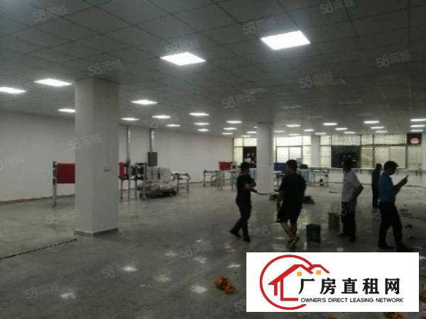  长安沙头新空出无尘车间1500平现成办公室