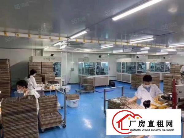  新出长安厦边1450平无尘厂房低价招租，水电齐全，拎包入住