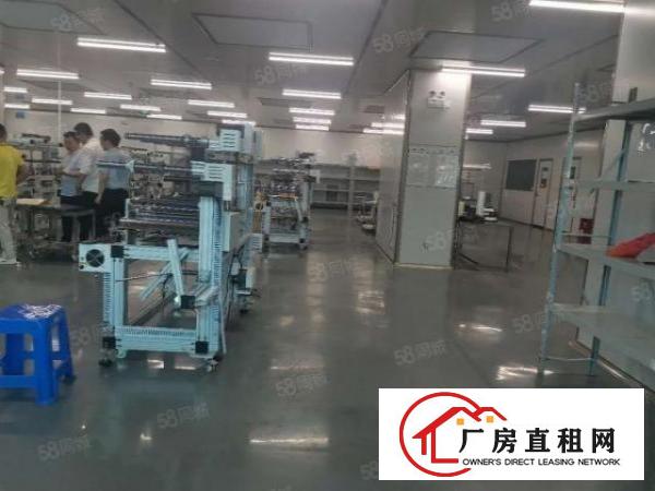  长安厦岗新出8800平原房东独门独院厂房出租电商仓库分出租