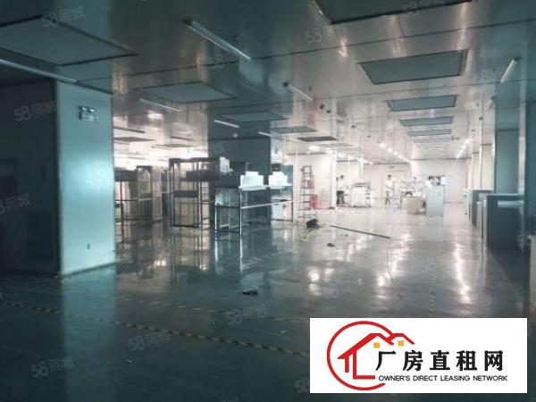  长安厦岗新出8800平原房东独门独院厂房出租电商仓库分出租