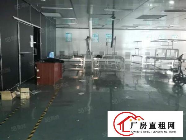  长安厦岗新出8800平原房东独门独院厂房出租电商仓库分出租