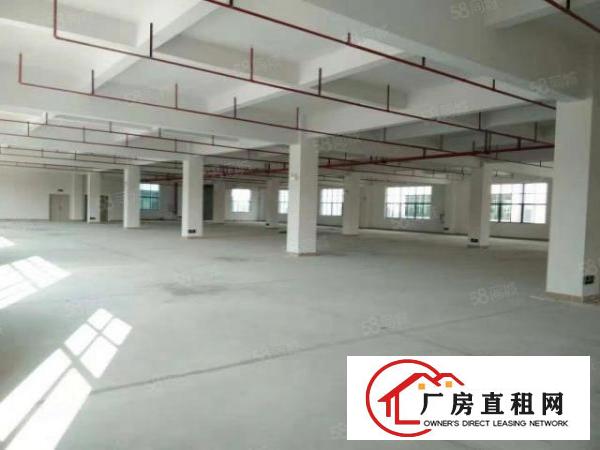  长安厦岗新出8000平原房东独门独院厂房可出租