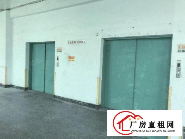  长安厦岗新出8000平原房东独门独院厂房可出租