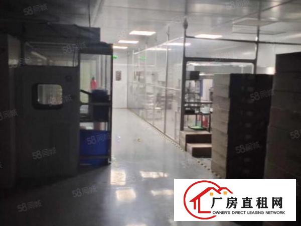  现成无尘车间330平出租