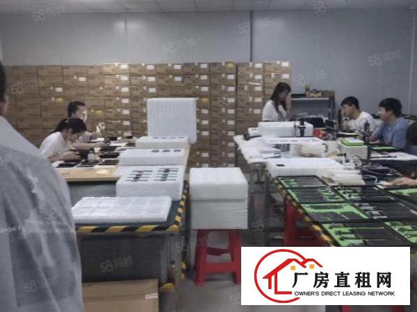  现成无尘车间330平出租