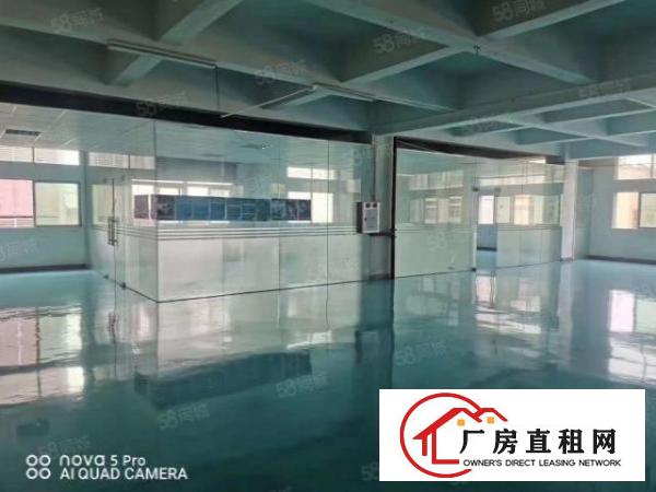  新空出二楼1000平米，全新地坪漆厂房