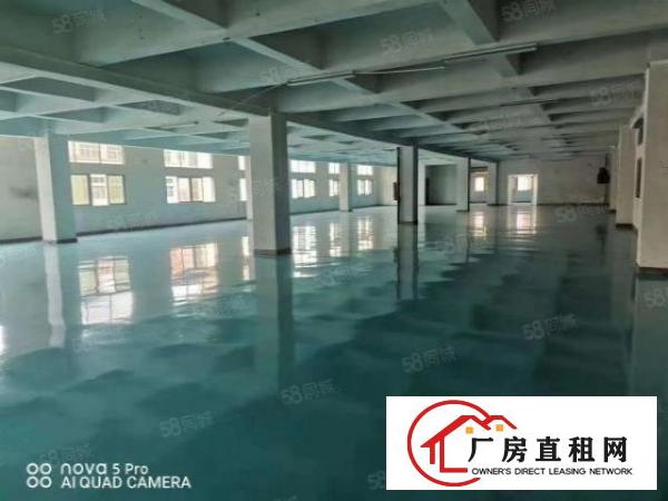  新空出二楼1000平米，全新地坪漆厂房