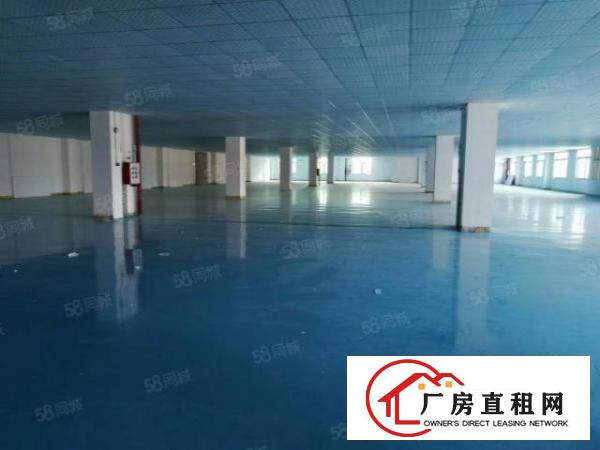  长安沿江高速附近一整层3580平豪华装修厂房出租！