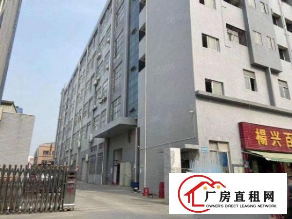  今日靓盘长安镇沙头社区楼上整层2200平，豪华办公