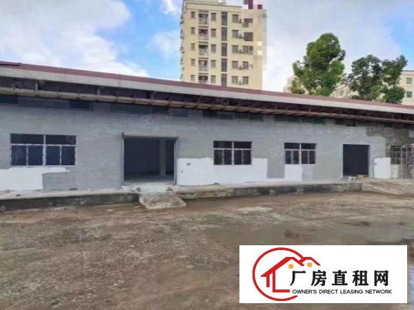 长安新出独门独院可分租离深圳沙井一桥之隔交通方便