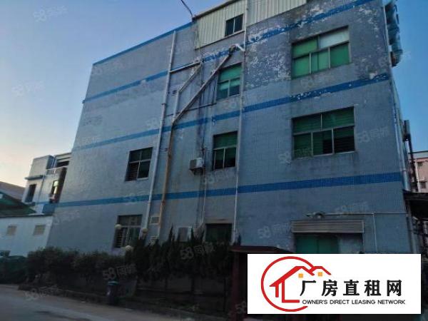  长安沙头新出独院12150平厂房招租