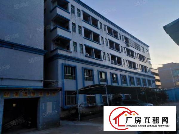  长安沙头新出独院12150平厂房招租