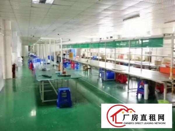  无转让费！沙头新出豪华装修带办公室1450平方