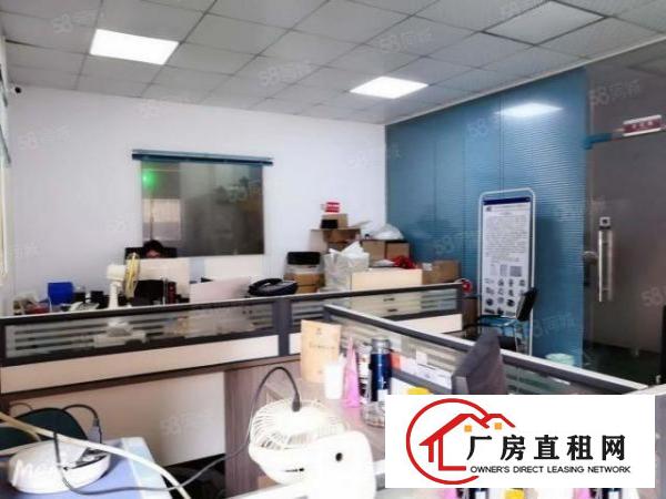  长安镇新安社区原房东即将空出一楼550平厂房带精装修办公室