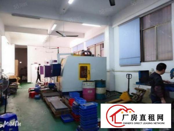  长安镇新安社区原房东即将空出一楼550平厂房带精装修办公室