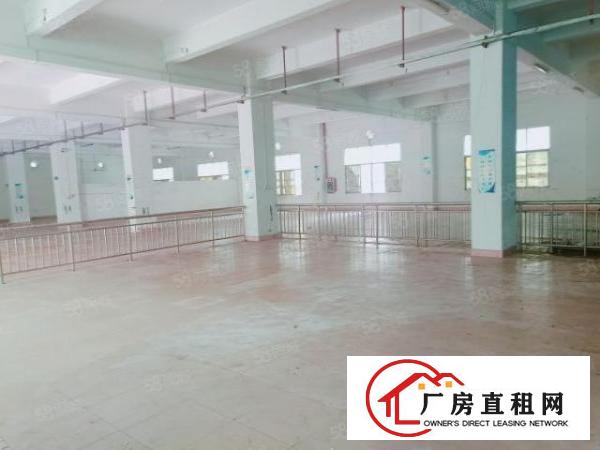  长安镇中心广场原房东独门独院厂房招租