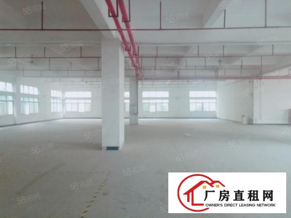  长安镇中心广场原房东独门独院厂房招租