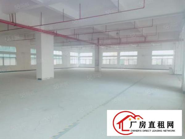 长安镇中心广场原房东独门独院厂房招租