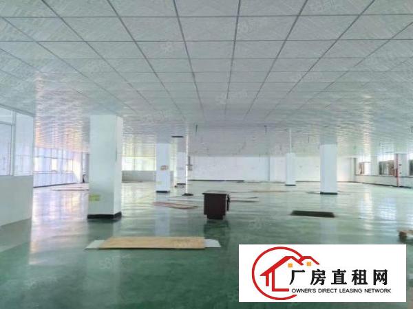  长安厦边一手房东三楼2000平实际面积带精装修厂房出租