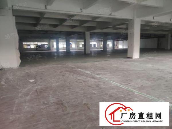  现成环评！长安沙头厂房出租800平，有装修，价格不贵