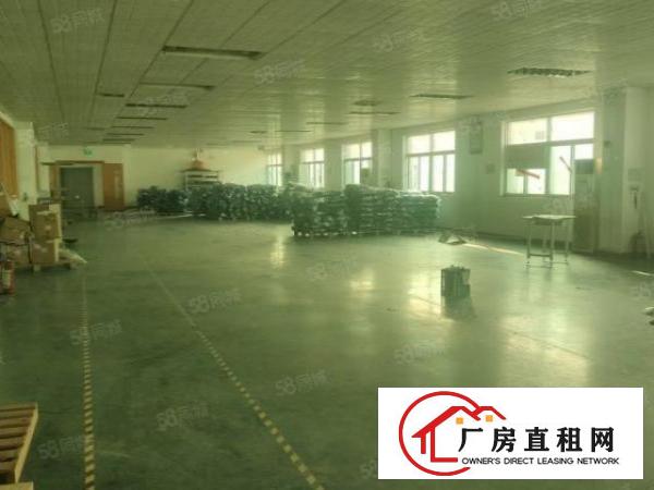  长安锦厦新出独门独院厂房5000平方，大小可以分租