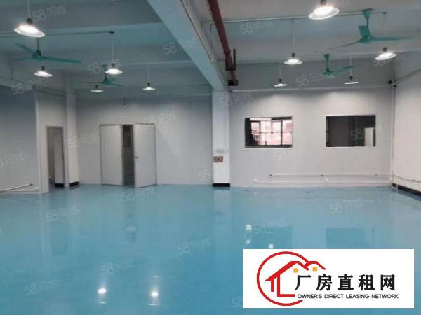  长安乌沙新出5楼350平，办公室豪华装修，入驻即可生产