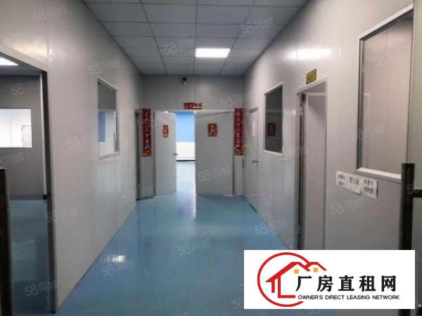 长安乌沙新出5楼350平，办公室豪华装修，入驻即可生产