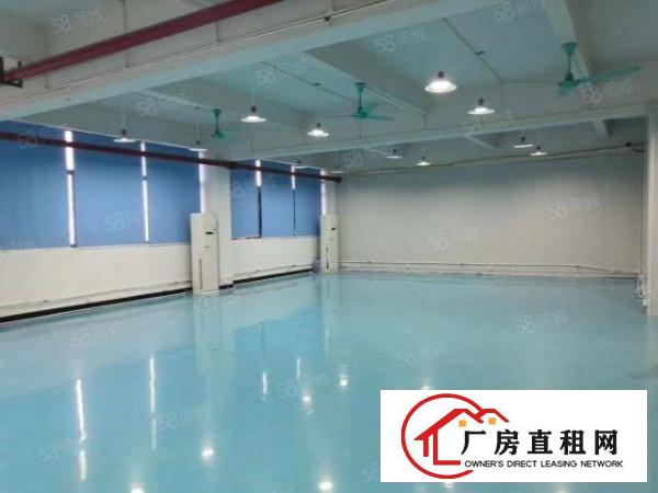  长安乌沙新出5楼350平，办公室豪华装修，入驻即可生产
