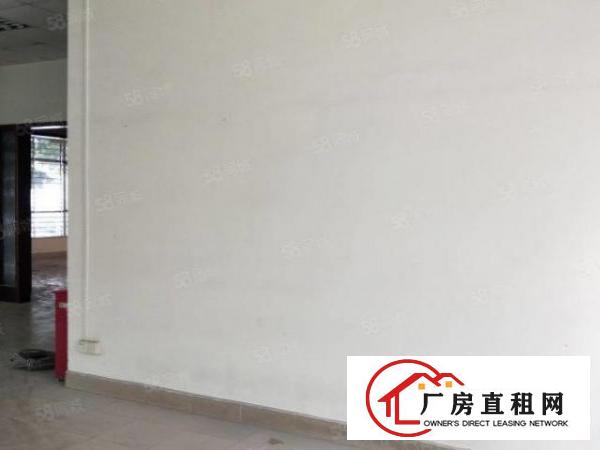  厂房出租长安上沙新出一楼350平米