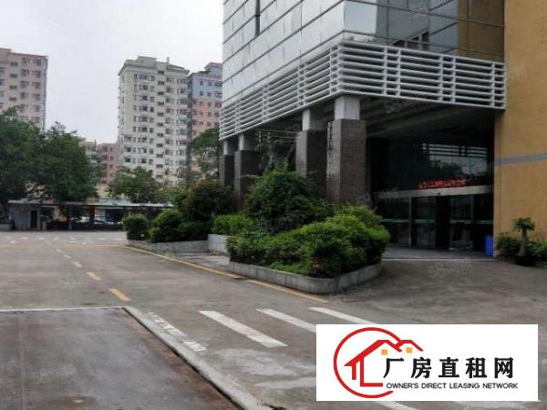  厂房出租长安上沙新出一楼350平米