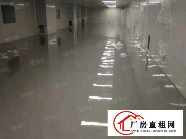  上沙新空出二楼500平无尘车间无需转让费