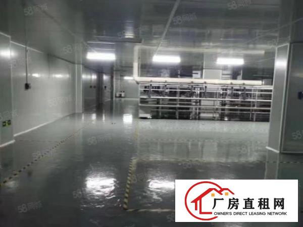  上沙新空出二楼500平无尘车间无需转让费