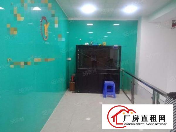  长安乌沙一楼新出带隔楼豪华装修办公室750平方厂房