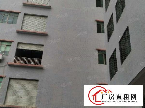  长安新出楼上1200平方豪华装修带办公室厂房